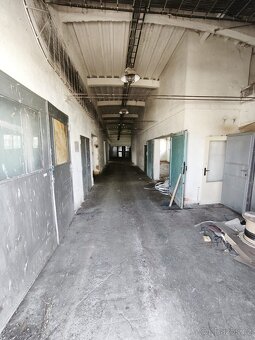 Pronájem skladu nebo výrobny Židlochovice • 233 m² - 2