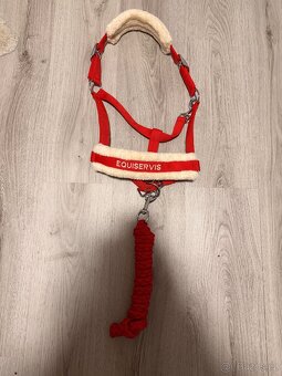 Ohlávka + Vodítko - 2