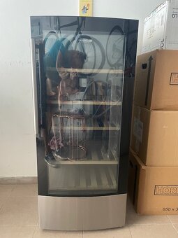 Dvouzónová vinotéka PHILCO PW 59 D – elegantní design, perfe - 2