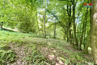 Prodej zahrady, 2923 m², Šarovy - 2
