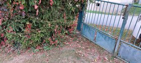 Prodej stavebního pozemnku - 2