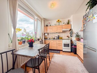 Prodej panelový byt 1+1 se zděným jádrem, 40 m2 - Znojmo, ul - 2
