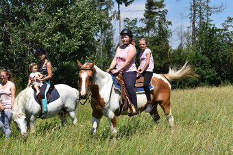 Tábory , kroužky, výcvik , hlídání. - 2
