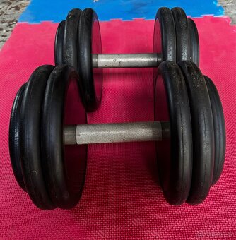 Profi činky 2x25kg - 2
