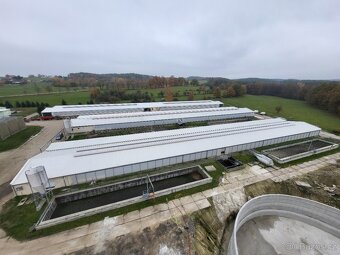 Hledáme ZOOTECHNIKA - 2