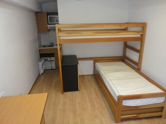 Pronájem 1+kk, ulice Údolní, centrum, 30 m2, klidný - 2