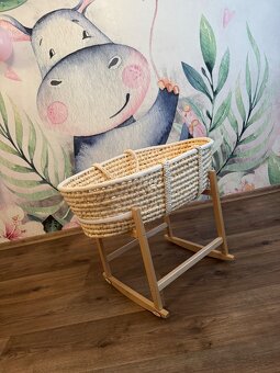 Mojžíšův koš - 2