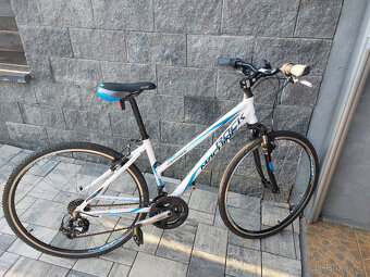 Rock Machine Crossride lady - 2