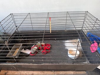 Klec pro králíka, morče - 2