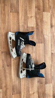 Brusle Baue Nexus - 2