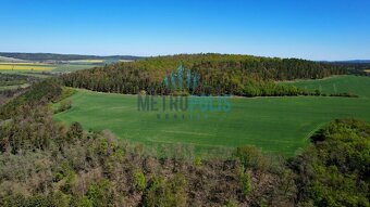 Prodej lesa, 80.000m2, Krámy - 2