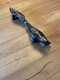 skateboarding waveboard - 2