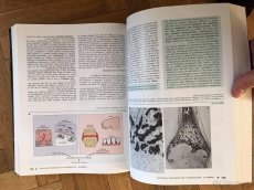Pathology Robbins - 2