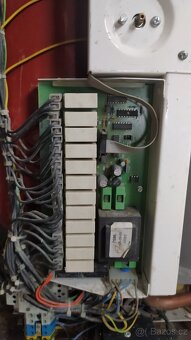 Protherm Rejnok - 2