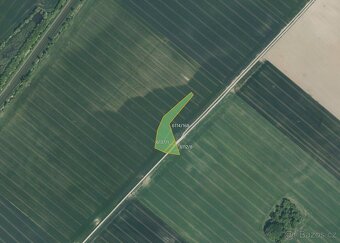 Zemědělská půda, prodej, Traplice, Uherské Hradiště - 2