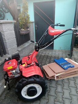 Prodám Teru Hecht - 2