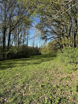 Prodáme pozemky v k.ú. Čížkov u Blovic - 2