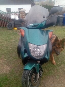 Honda Foresight 250 - 2