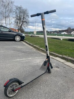 Koloběžka ninebot - 2