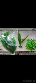 Prodám akvarijní dekorace + umělé rostliny - 2