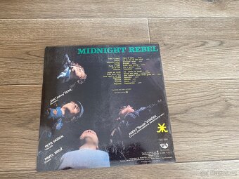 LP Plexis - 2
