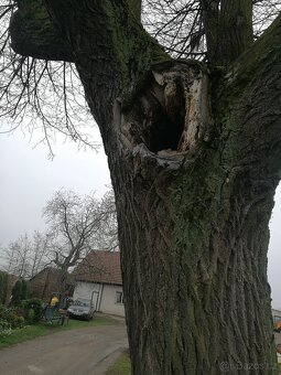 KOUPÍM dřevo na topení - 2