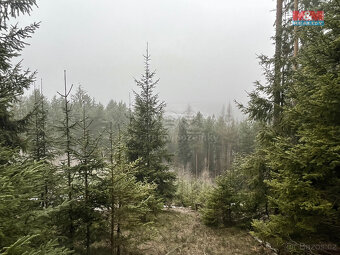 Prodej, les, 13753 m2, Úbislavice, Stav - 2
