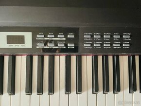 Digitalni piano Medeli SP4000 - 2