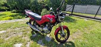 YAMAHA YBR 125 - 2