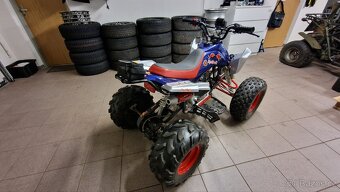 Dětská čtyřkolka 125ccm komplet servis - 2