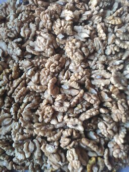 Vlašské ořechy loupané, neloupané. - 2