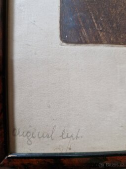 Stařena s kočkou - 2