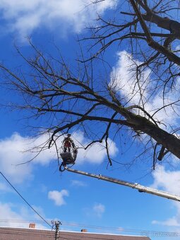 Pronájem autoplošiny - 2