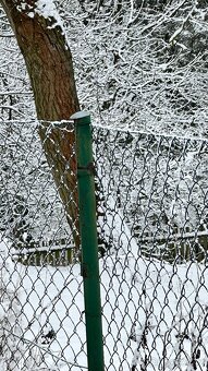 Pletivo, pletivový plot včetně sloupků - 2