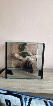 terarium s 3d stenou - 2