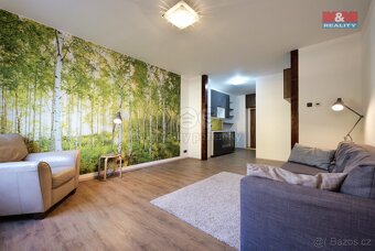Pronájem bytu 1+kk, 30 m², Prostějov, ul. Stanislava Manhard - 2