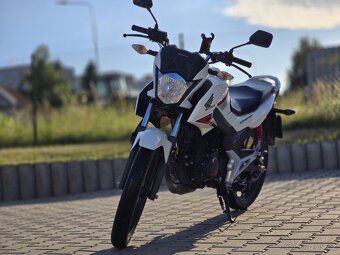 Honda cb125f - 2
