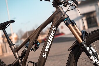S Works Stumpjumper Evo - 2