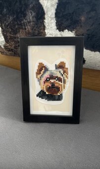 Obrázek rotvajlera/ jorkšíra/ buldočka - 2