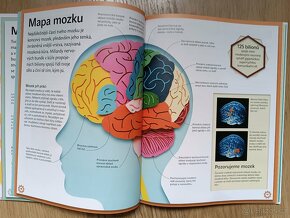 Úžasný stroj LIDSKÉ TĚLO - 2