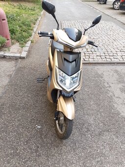 Scuter E-fichtl - 2