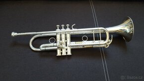 Stříbrná trumpeta Stewart Ellis - 2