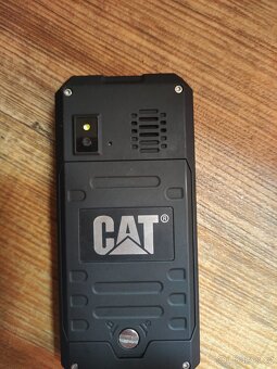 Cat B30 - 2