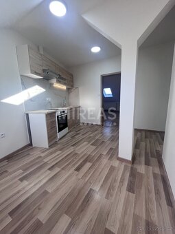 Benátky nad Jizerou, pronájem podkrovního bytu 1+1, 44m2, ok - 2