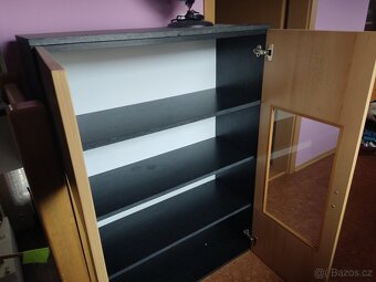 Prosklená knihovna,vitrina - 2