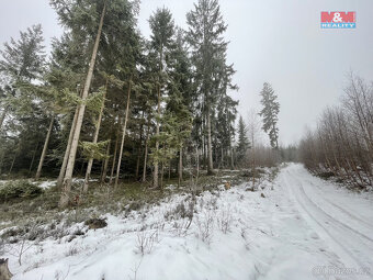 Prodej, les, 10412 m2, Pecka, Vidonice - 2