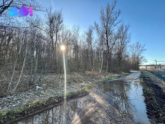Prodej lesního pozemku 14.174 m², Dětmarovice - 2