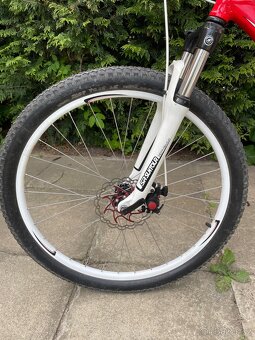 Kolo Specialized.Velikost rámu 19. Vel.(L) - 2