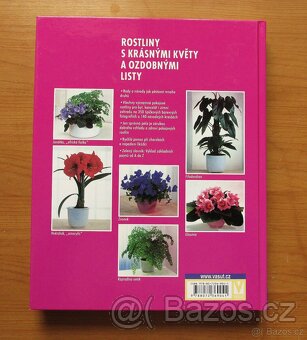 POKOJOVÉ ROSTLINY - Halina Heitz - 2