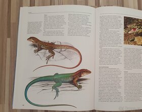Encyklopedie zvířat - 2